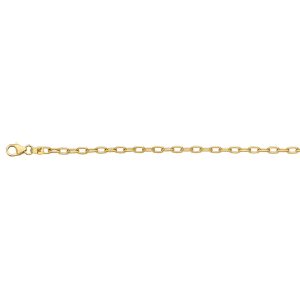 14KT YELLOW GOLD OVAL LINK CHAIN 2.9MM