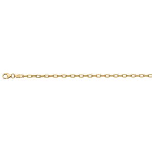18KT YELLOW GOLD OVAL LINK CHAIN 2.9MM